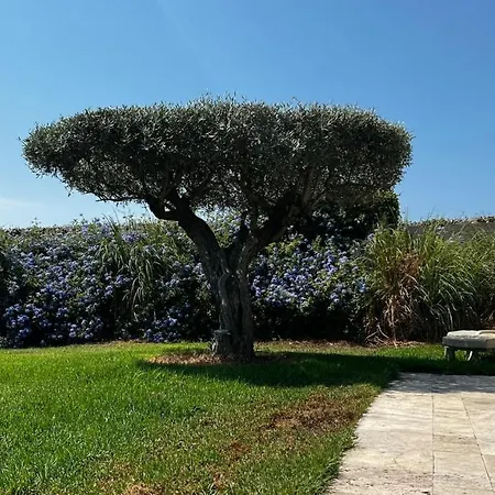 Villa Alba-3